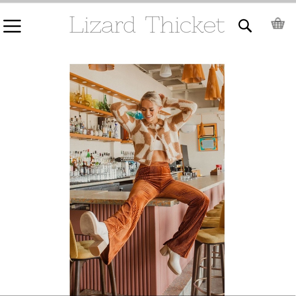 Lizard Thicket Brand New (NWT) With the Flow Pants in Rust